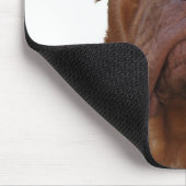 Dogue de Bourdeaux Muismat (Hoek)