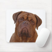 Dogue de Bourdeaux Muismat (Met muis)