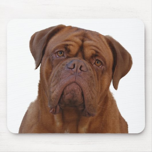 Dogue de Bourdeaux Muismat (Voorkant)