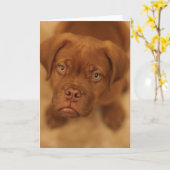 dogue de mastiffkaart van het DEBordeaux puppy Kaart (Gele Bloem)