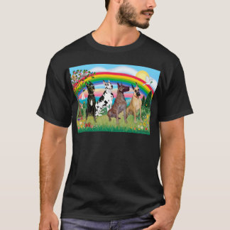 Dogues van de Alpen (vier) - Regenboog Helder T-shirt
