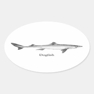 Dogvis (lijnkunst) ovale sticker