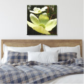 Dogwood and Redwood in Yosemite National Park Canvas Afdruk (Insitu (Slaapkamer))