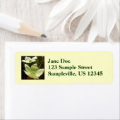 Dogwood and Redwood in Yosemite National Park Etiket (Insitu)