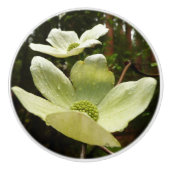 Dogwood and Redwood in Yosemite National Park Keramische Knop (Voorkant)