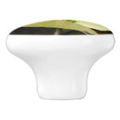 Dogwood and Redwood in Yosemite National Park Keramische Knop (Zijkant)