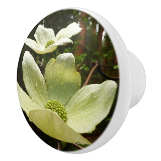 Dogwood and Redwood in Yosemite National Park Keramische Knop (Rechts)