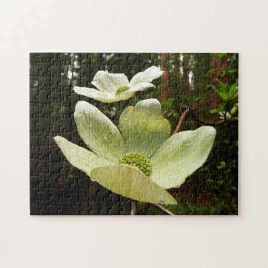 Dogwood and Redwood in Yosemite National Park Legpuzzel (Horizontaal)