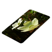 Dogwood and Redwood in Yosemite National Park Magneet (Linkerzijde)