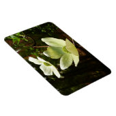 Dogwood and Redwood in Yosemite National Park Magneet (Rechterzijde)