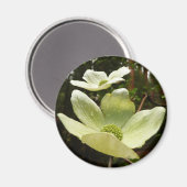 Dogwood and Redwood in Yosemite National Park Magneet (Voorkant / Achterkant)