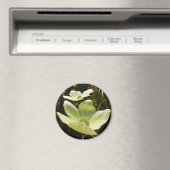 Dogwood and Redwood in Yosemite National Park Magneet (Insitu (Vaatwasser))