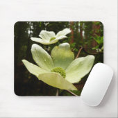 Dogwood and Redwood in Yosemite National Park Muismat (Met muis)