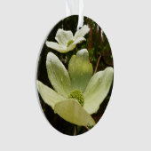 Dogwood and Redwood in Yosemite National Park Ornament (voorkant)