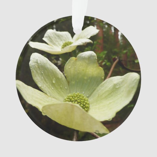 Dogwood and Redwood in Yosemite National Park Ornament (voorkant)