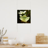 Dogwood and Redwood in Yosemite National Park Poster (Keuken)