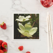 Dogwood and Redwood in Yosemite National Park Servetten (Insitu)