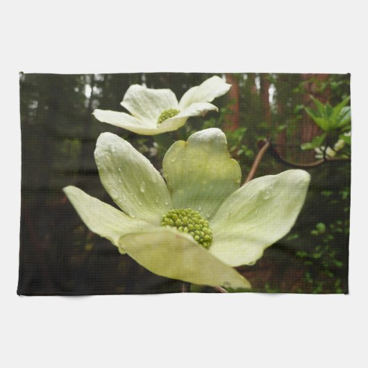 Dogwood and Redwood in Yosemite National Park Theedoek (Horizontaal)