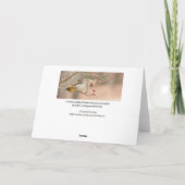 Dogwood Berry Breakfast Kaart (Achterkant)