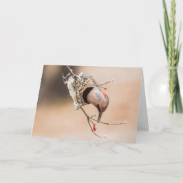 Dogwood Berry Breakfast Kaart