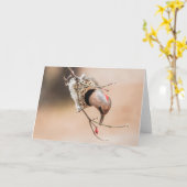 Dogwood Berry Breakfast Kaart (Gele Bloem)