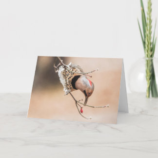 Dogwood Berry Breakfast Kaart