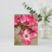 Dogwood bloeiend [Briefkaart] Briefkaart (Staand voorkant)