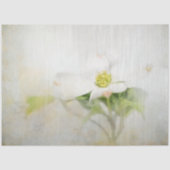 Dogwood Bloem Bloemen Art Decoupage Tissuepapier (Voorkant)