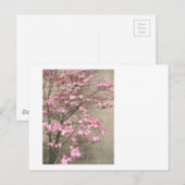 Dogwood bloem briefkaart (Voorkant / Achterkant)