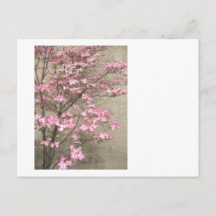 Dogwood bloem briefkaart