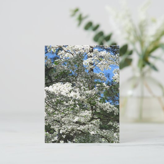 Dogwood bloem briefkaart (Staand voorkant)