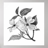 Dogwood bloem poster (Voorkant)