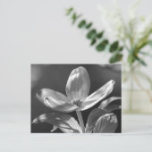Dogwood Bloom Briefkaart (Staand voorkant)