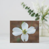 Dogwood Bloom Briefkaart (Staand voorkant)