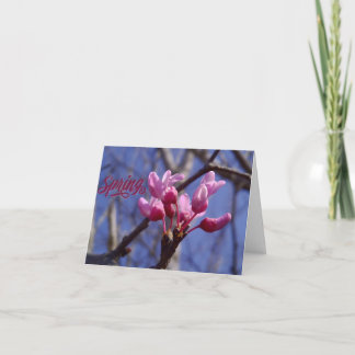 Dogwood Blossom Blank Greeting Card Bedankkaart