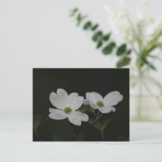 Dogwood Blossom Briefkaart (Staand voorkant)