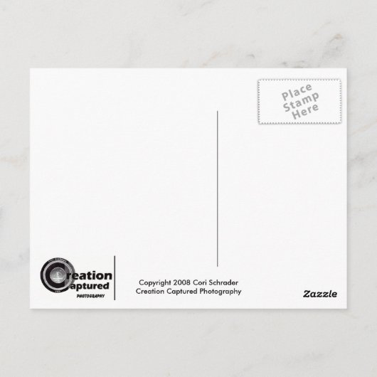 Dogwood Blossom Briefkaart (Achterkant)