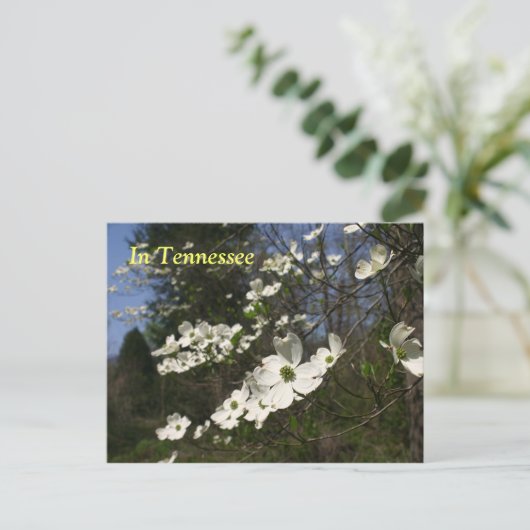 Dogwood Blossom Briefkaart (Staand voorkant)
