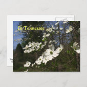 Dogwood Blossom Briefkaart (Voorkant / Achterkant)