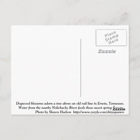Dogwood Blossom Briefkaart (Achterkant)