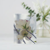 Dogwood Blossom Briefkaart (Staand voorkant)