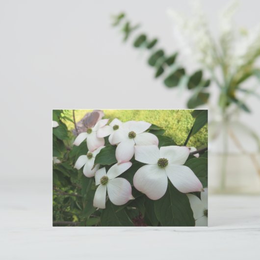 Dogwood Blossom Briefkaart (Staand voorkant)