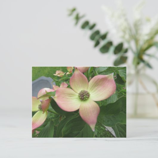 Dogwood Blossom Briefkaart (Staand voorkant)