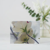 Dogwood Blossom Briefkaart (Staand voorkant)