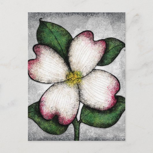 Dogwood Blossom Briefkaart (Voorkant)