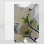 Dogwood Blossom Briefpapier (Voorkant / Achterkant)