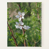 Dogwood Blossom Calendar van Janz Planner (Achterkant)