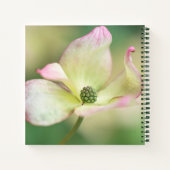 Dogwood Blossom | Cornus Kousa "Miss Satomi" Notitieboek (Achterkant)