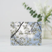 Dogwood Blossom en Blue Sky Briefkaart (Staand voorkant)