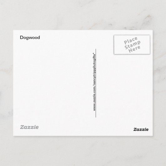 Dogwood Blossom en Blue Sky Briefkaart (Achterkant)